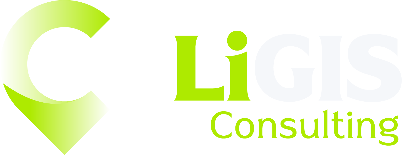 LiGIS Consulting